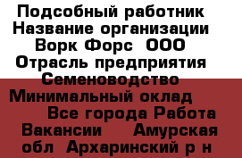 Подсобный работник › Название организации ­ Ворк Форс, ООО › Отрасль предприятия ­ Семеноводство › Минимальный оклад ­ 30 000 - Все города Работа » Вакансии   . Амурская обл.,Архаринский р-н